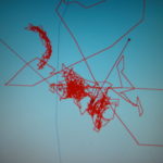 dscn6283-sturmtag-und-nacht-bewegungen-am-anker