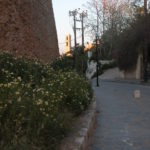 dscn6400bereits-margerithen