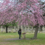 dscn6464geschichte-vor-ort