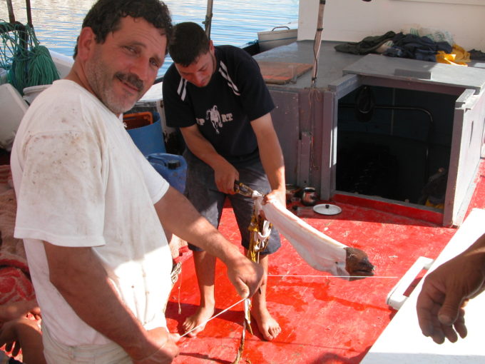 dscn7419-eine-muraene-wird-abgehaeutet