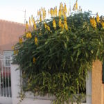 dscn8167-an-der-hauptstrasse-von-motril