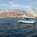 dscn8263-freundliche-begegnung-beim-umfahren-des-fischernetzes