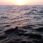 dscn8666x-friedliche-momente