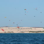 dscn8919-drachen-am-strand-fuerteventura