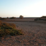 dscn9035-uferlandschaft