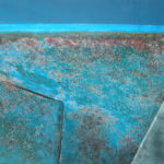 dscn9121-kalkwuermer-in-nur-8-monaten-seit-der-letzten-unterwasserbehandlung