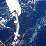 dscn0006a-windpilot-freute-und-oder-aergerte-uns