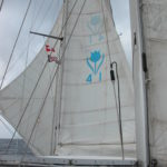 dscn0009-besegelung-bei-schwachwind-und-raumem-einfallswinkel