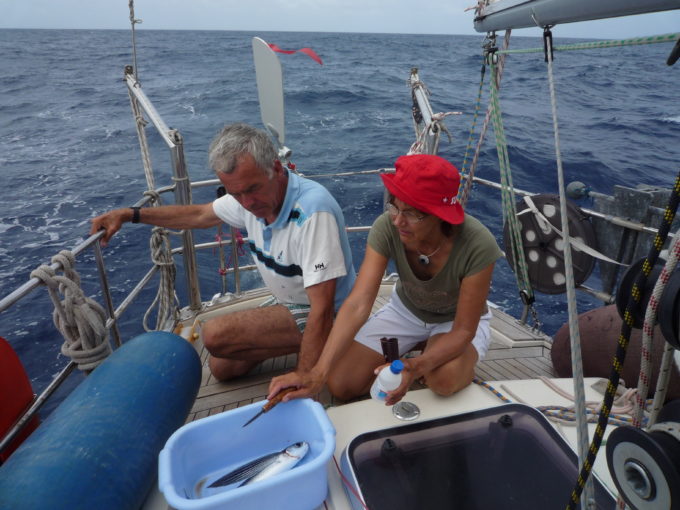 dscn0011-fliegender-fisch-geangelt