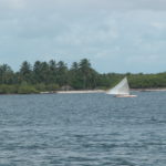 dscn0040-flussaufwaerts-auf-dem-paraiba-fluss