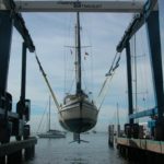 dscn1712-nicone-wird-ausgewassert