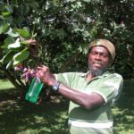 dscn1860-guide-im-botanischen-garten