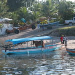 dscn0005a-pferdetransport-auf-brasilianisch