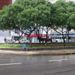 dscn0240-die-berittene-polizei-hat-sie-im-schatten-parkiert