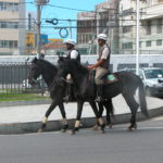 dscn0311-berittene-polizei