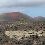 dscn8780a-vulkanlanschaft-timanfaya-16