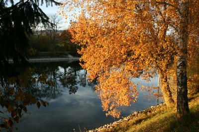 herbst-an-der-aare