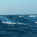 dscn1305a-die-see-hat-uns-wieder