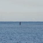 img_8335a-am-anker-isla-naranjo