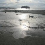 img_8591-land-unter-viele-inseln-sind-nur-1-m-uber-wasser