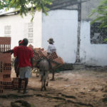 img_9323-a-isla-fuerte